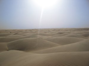 sahara_desert